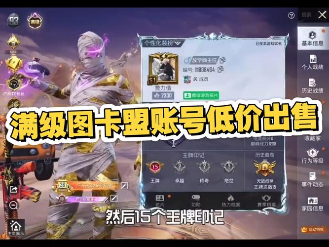 和平精英低价卡盟