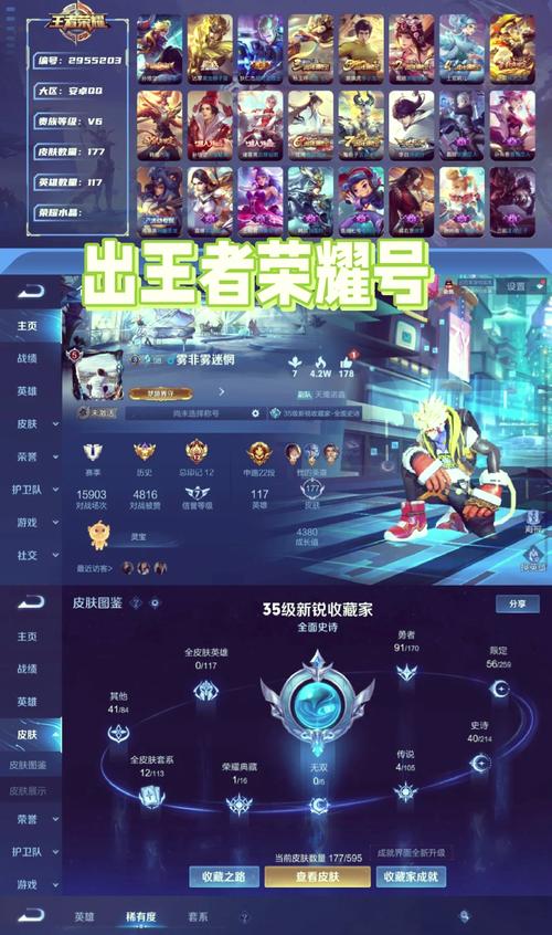 王者荣耀贵族共享规则
