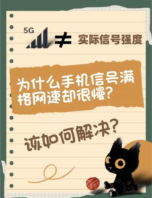 网速慢是手机问题还是卡的问题