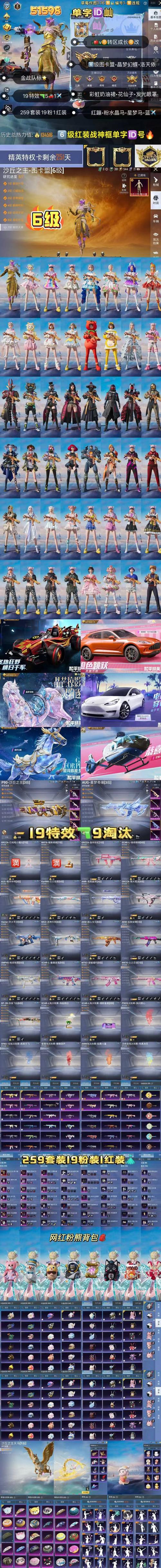 无敌派克挂和平精英永久vip版