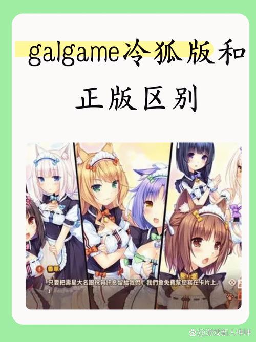 黑暗精灵1冷狐版