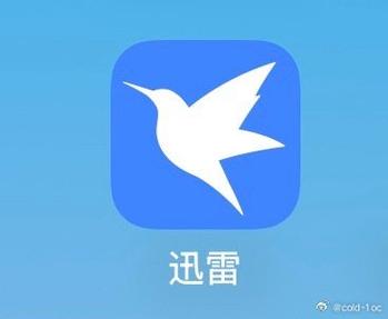 迅雷影视资源网