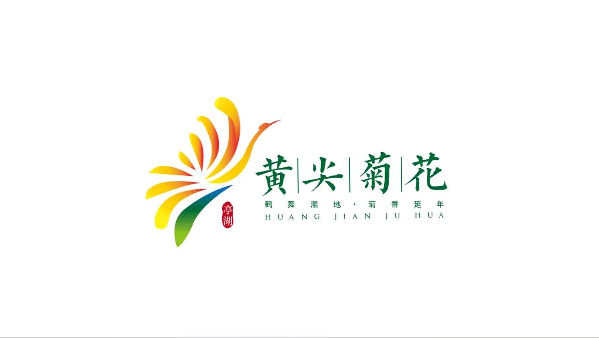 菊花视频成人版在线观看免费
