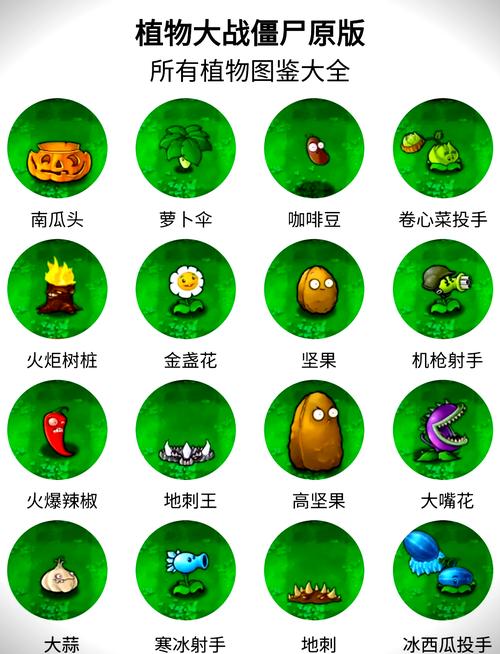 pvz1 手机版手机版