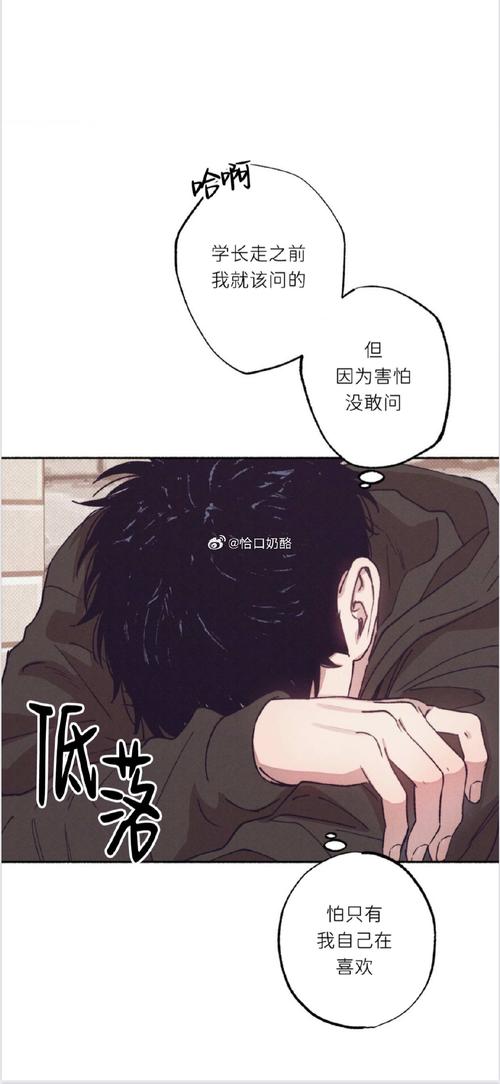 Kotatsu漫画官方版免费旧版安卓