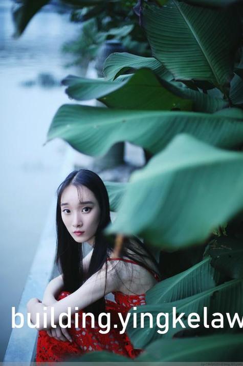 木叶培训师汉化版破解图标