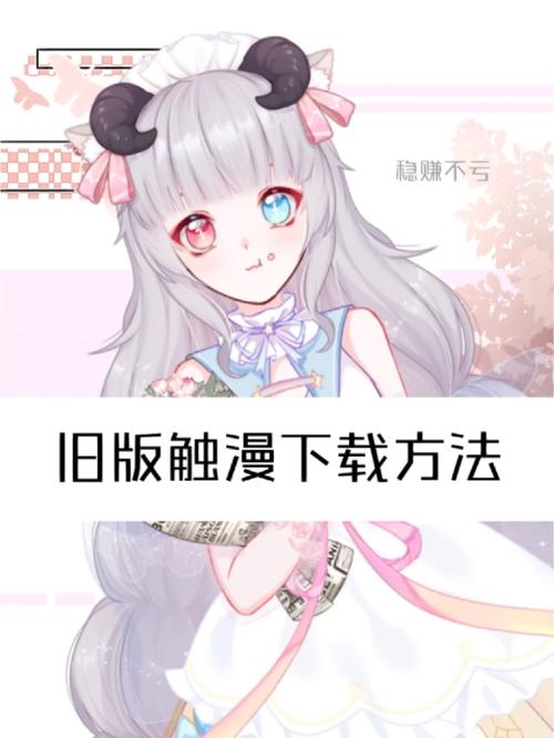 触漫正版安装永久免费版