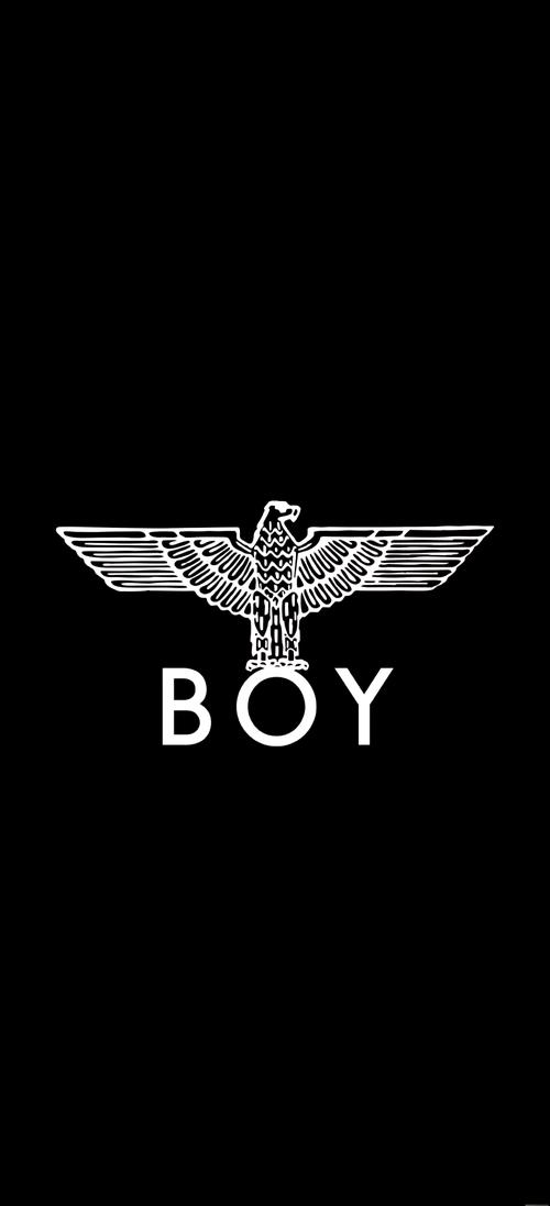 boylove版本图标