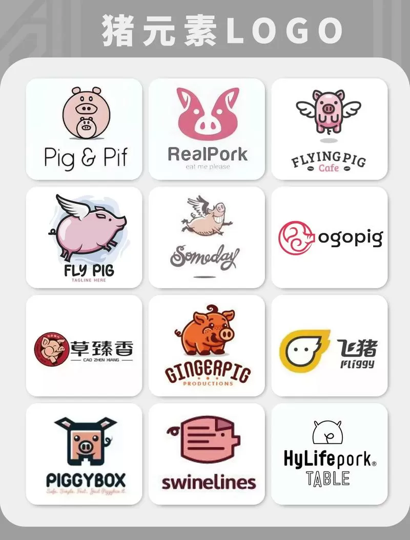小猪儿(辉)
