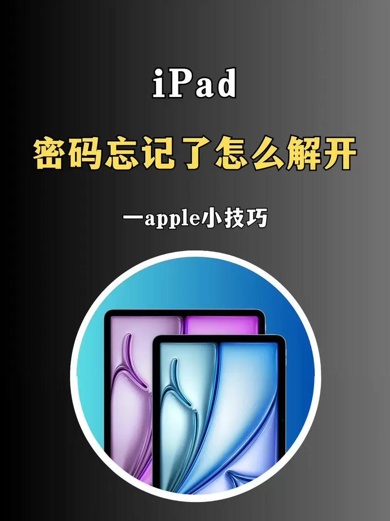 平板账户密码忘了怎么办