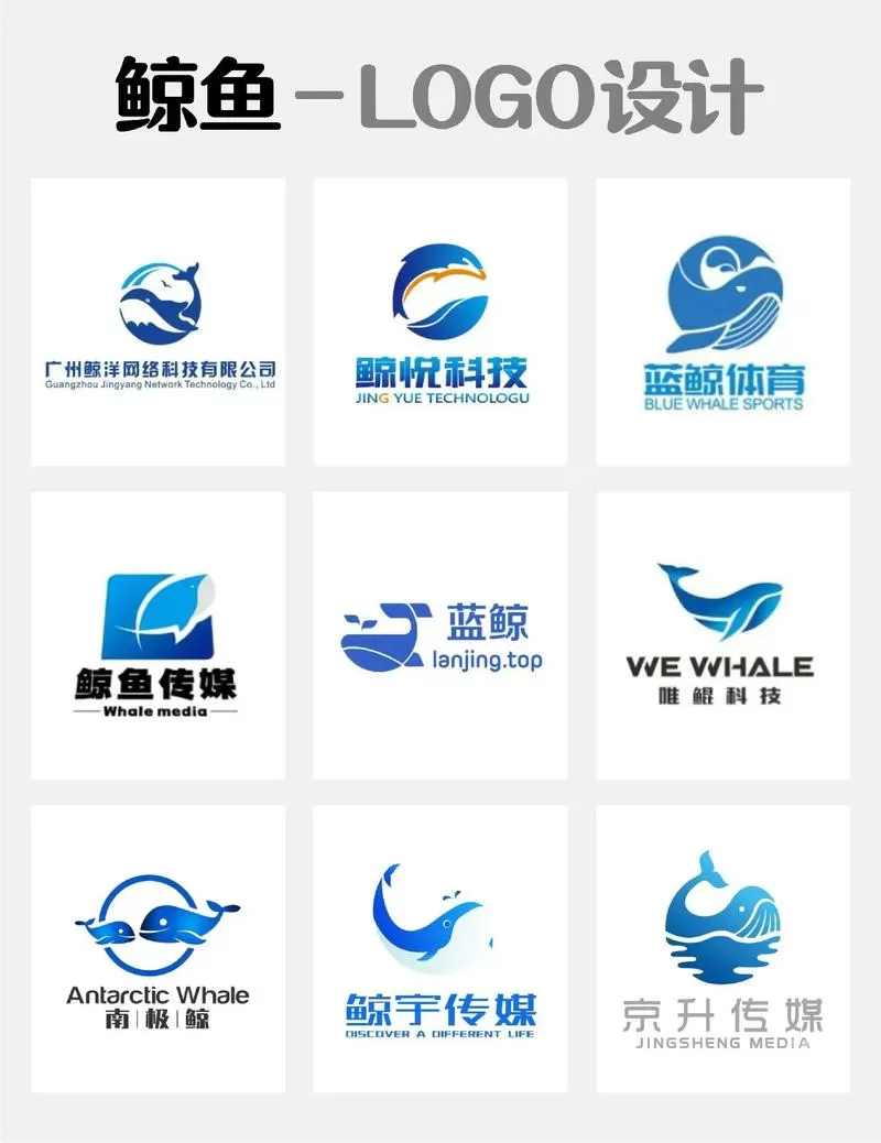 武汉鲸鱼无限科技公司怎么样