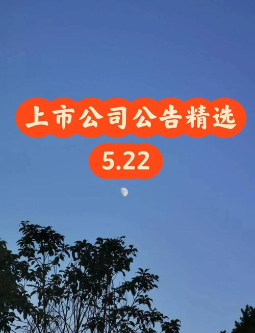 查上市公司公告去哪个网约会版