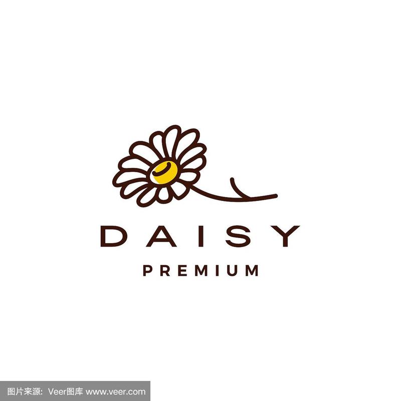 雏菊资讯