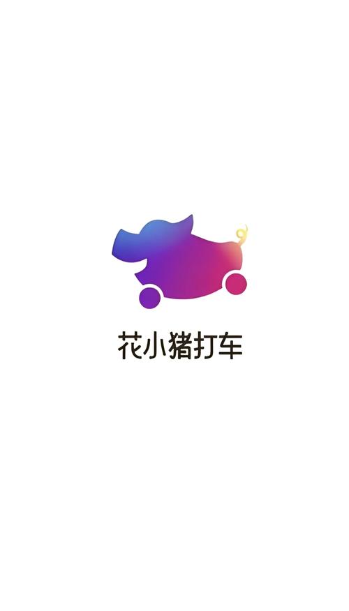 小花猪滴滴打车平