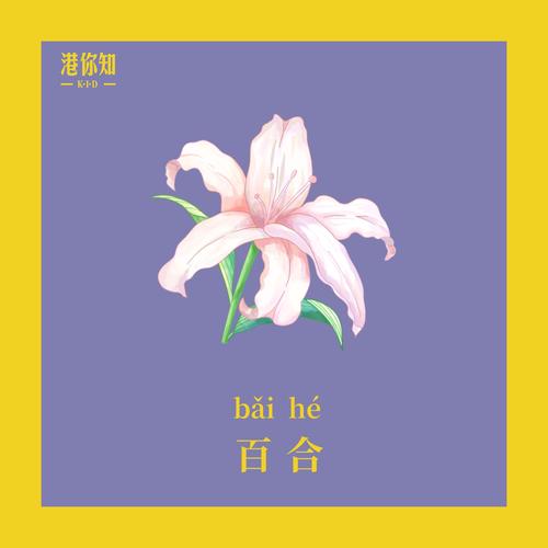 百合转零花钱
