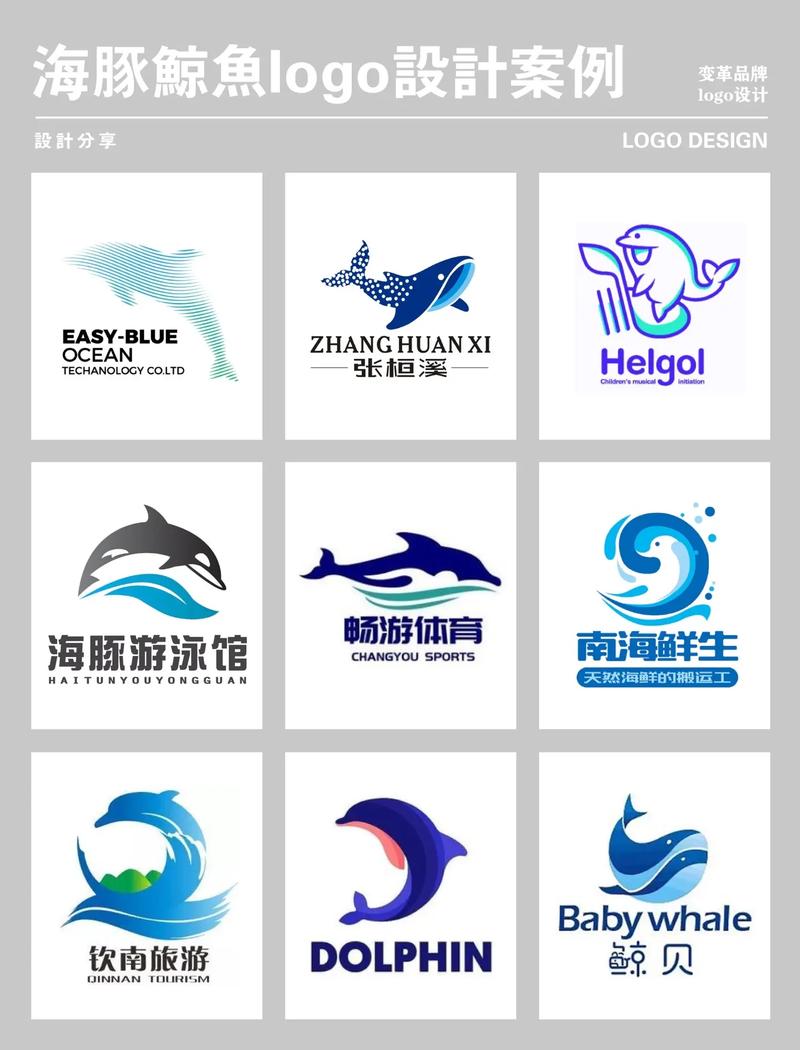 海豚视频最新版