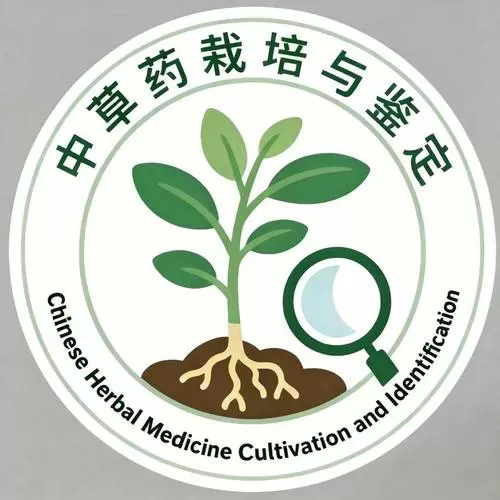 林下种植中药材