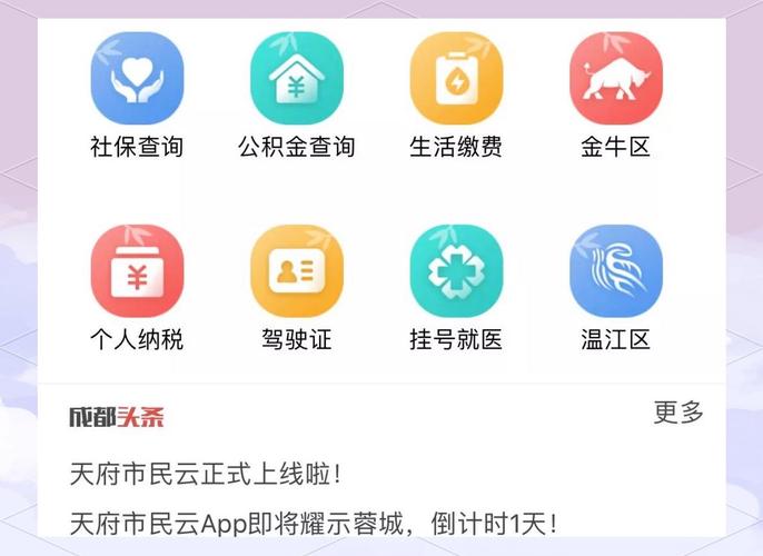 天府市民云查询房产下载app天府市民云社保查询 官方